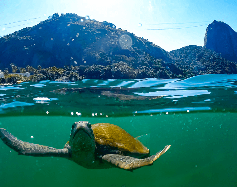 Care for the Surroundings of the Natural Monument