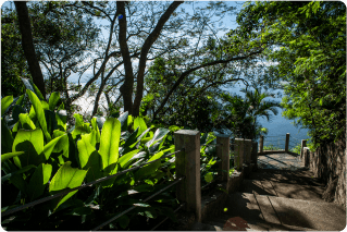 Paisagem 2